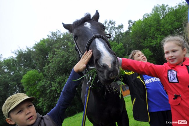 Екологічні стежки у волинському лісі – безліч відкриттів не лише для дітей