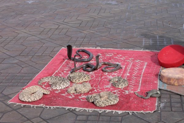 «Нотатки мандрівника» Богдана Климчука: Марокко – це країна переосмислення