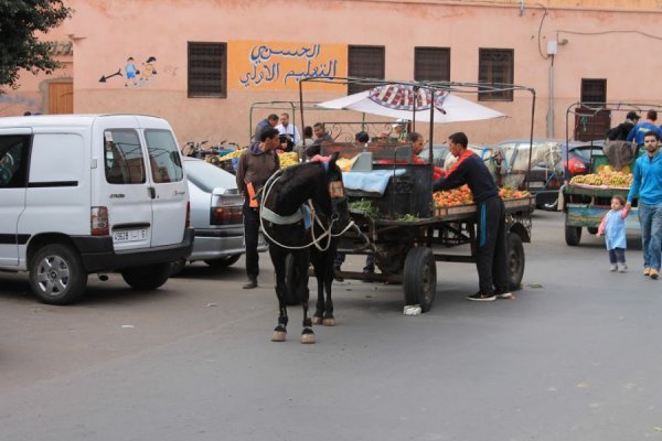 «Нотатки мандрівника» Богдана Климчука: Марокко – це країна переосмислення