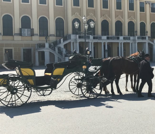 «Нотатки мандрівниці» Анастасії Лазуки про Відень