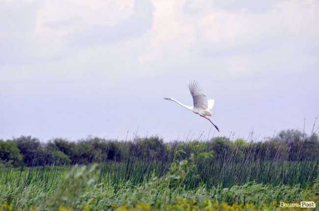 Туристичні принади Волині: лабіринтами «Амазонки»