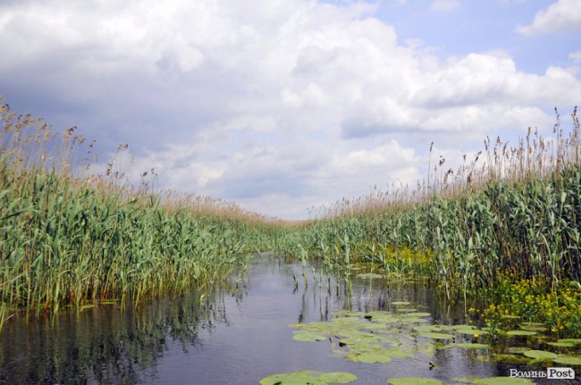 Туристичні принади Волині: лабіринтами «Амазонки»