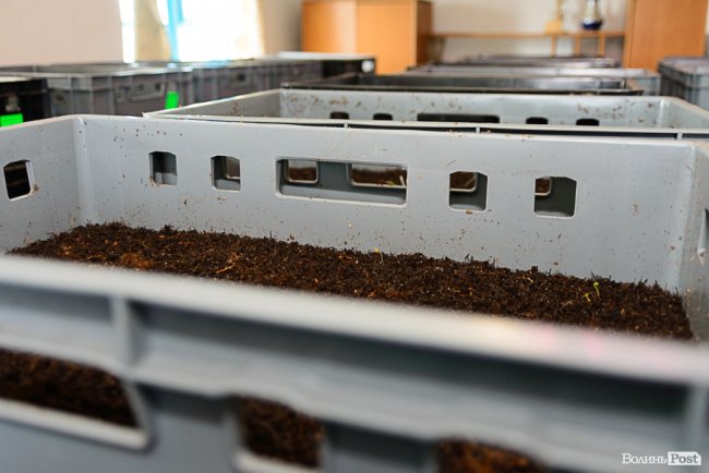 Знахідка для фермерів: луцька компанія створює біогумус для іноземців та всієї України* 