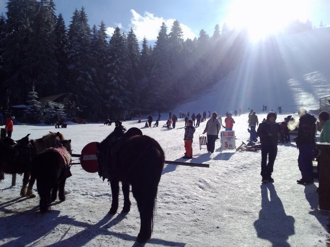«Нотатки мандрівниці» Тетяни Сандової: Болгарія