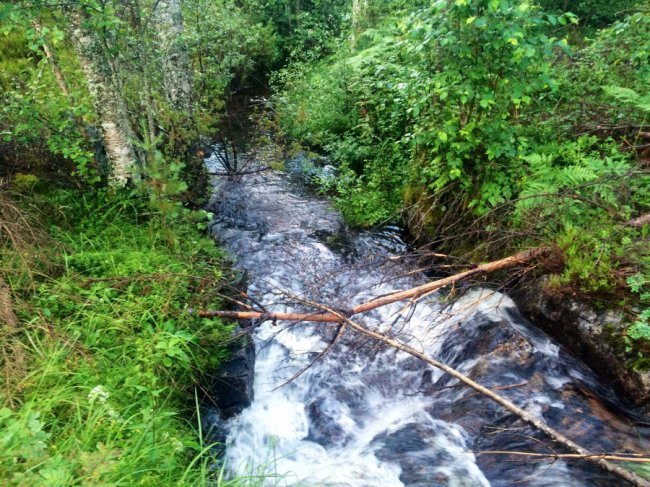 «Нотатки мандрівника» Ярослава Тарнавського: корисні лайфхаки дешевих мандрів