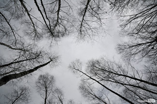 Лісівники показали, як розвивають мисливське господарство на Волині
