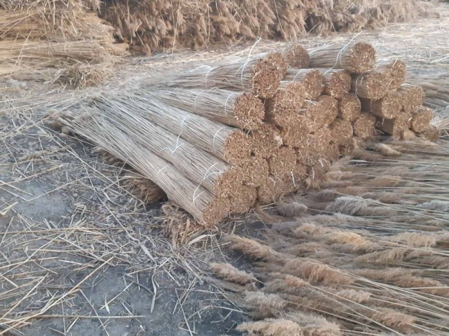 Стильно, екологічно, раціонально: дах з очерету – вибір людей 21-го століття* 