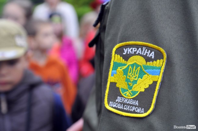 Екологічні стежки у волинському лісі – безліч відкриттів не лише для дітей