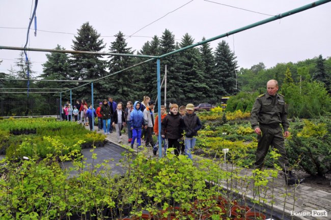 Екологічні стежки у волинському лісі – безліч відкриттів не лише для дітей