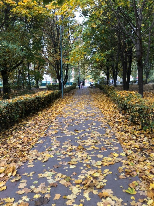 Житловий комплекс  «Візаві»:  складна  історія  зі  щасливим  фіналом*