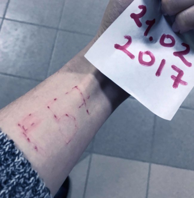 Грай або помри: правда про «Синій кит»