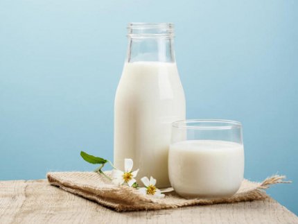 У чому секрет козячого молока та сирів - дізнаємось з METRO