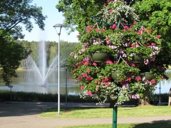 На квіти грошей тут не шкодують