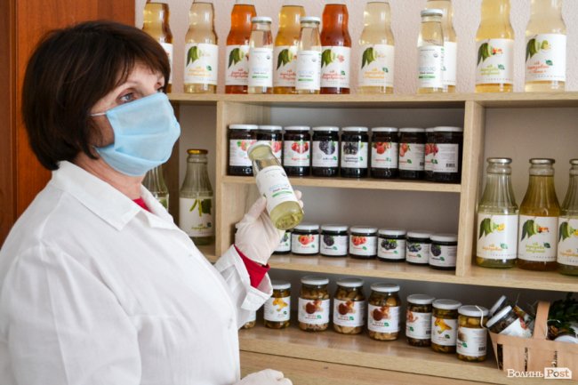 Природа – не на карантині: у волинських лісах збирають березовий сік для декількох континентів. ФОТО