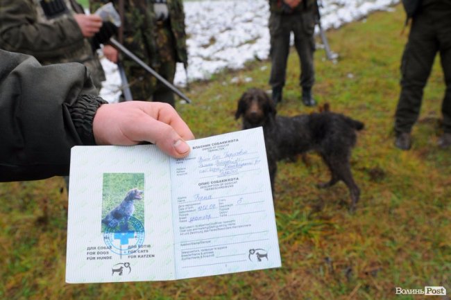 Нічні погоні та браконьєри: як працює лісова рейдова група. ФОТО