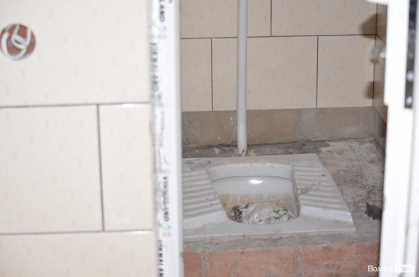 Що переживають звірі під час реконструкції луцького зоопарку