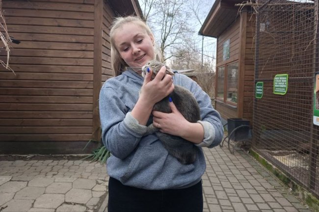 Історії котів із Луцького зоопарку