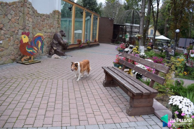 Домашній, затишний куточок: як живеться луцькому зоопарку