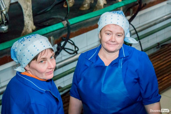 Без домішок і рослинних жирів: як на Волині виготовляють «молочку». ФОТО