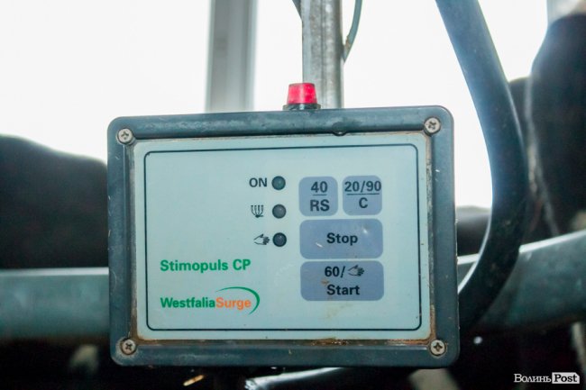 Без домішок і рослинних жирів: як на Волині виготовляють «молочку». ФОТО