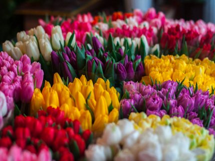 В UFL розповіли, який попит на квіти очікують 8 березня*
