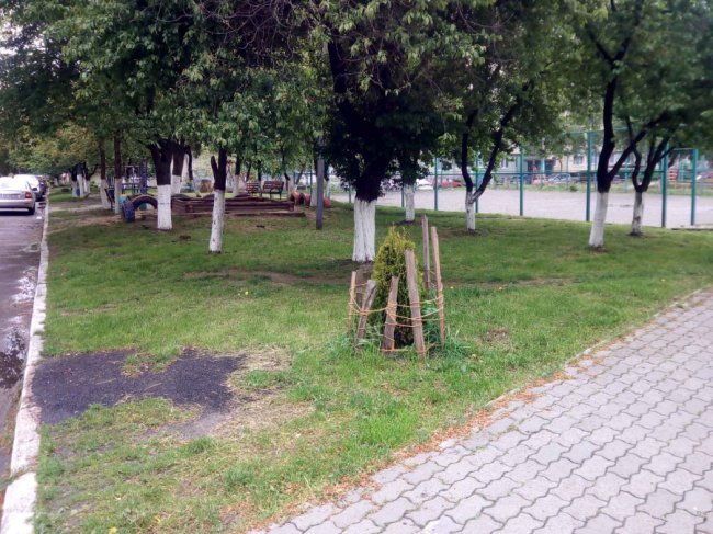 Як ОСББ у Луцьку можуть попередити виникнення сезонної алергії в мешканців багатоповерхівок*