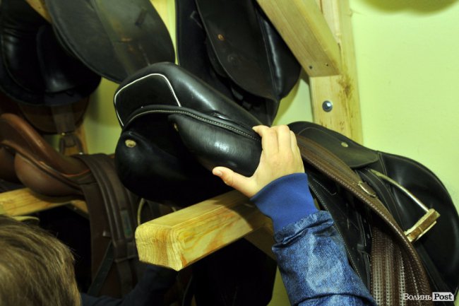 Екологічні стежки у волинському лісі – безліч відкриттів не лише для дітей