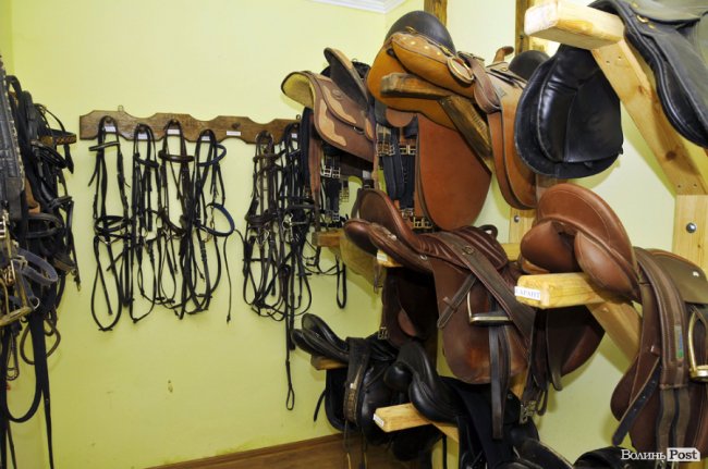 Екологічні стежки у волинському лісі – безліч відкриттів не лише для дітей