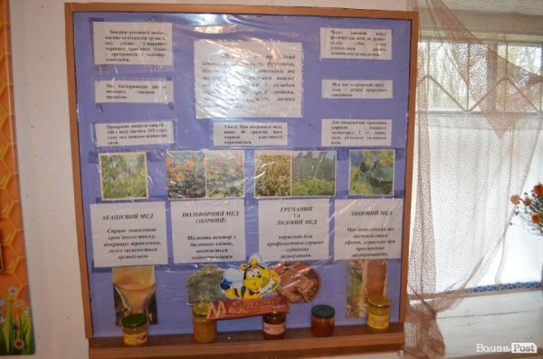 Бджільництво по-волинськи: луцькі пасічники створили «музей меду»