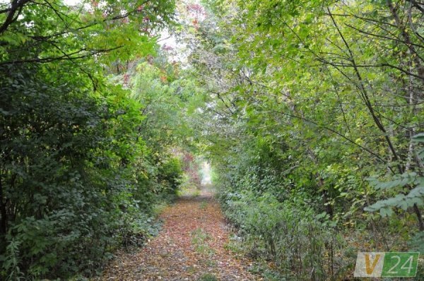 На руїнах слави