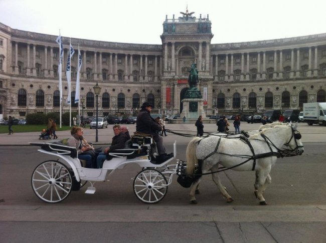 «Нотатки мандрівниці» Маї Голуб: Відень – місто балів, палаців, смачних шніцелів і кебабів