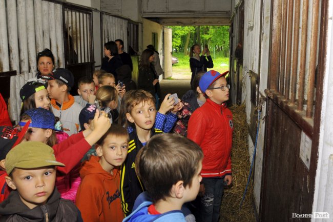Екологічні стежки у волинському лісі – безліч відкриттів не лише для дітей