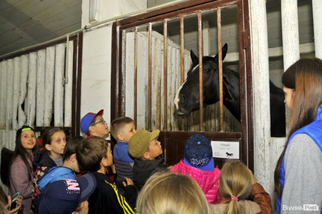 Екологічні стежки у волинському лісі – безліч відкриттів не лише для дітей