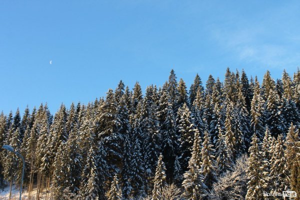 «Нотатки мандрівниці» Катерини Лащук: Буковель – містечко щастя