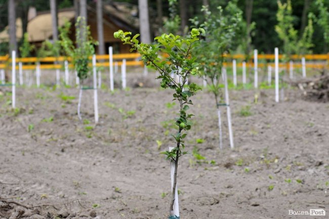 Воротнів. «Маленька Швейцарія» під Луцьком