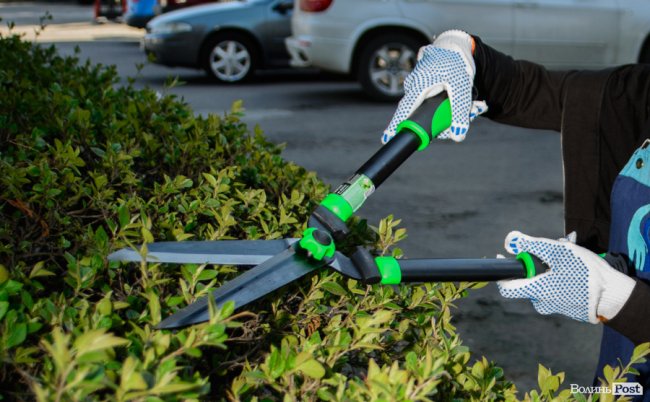 Від хімчистки меблів – до впорядкування могил: чому прибирання варто довірити луцькій клінінговій компанії «SAVA». ФОТО*