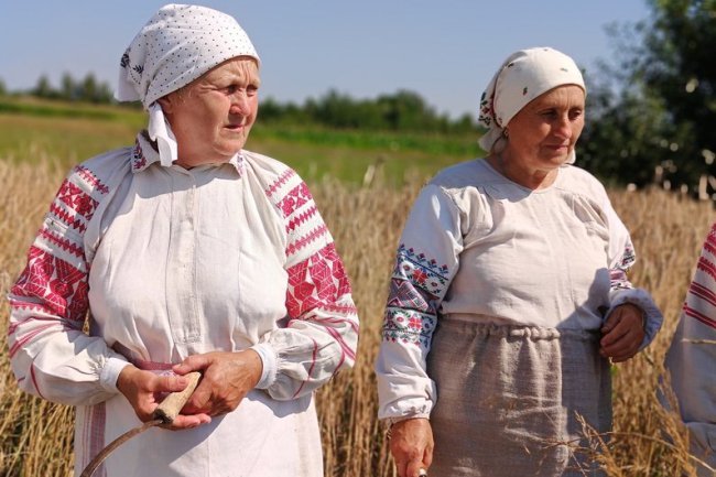 Жнива: які обряди збереглися на Волині