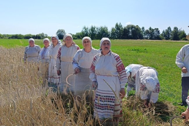 Жнива: які обряди збереглися на Волині