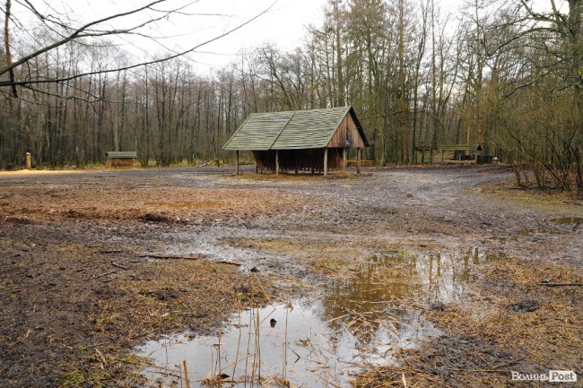 Лісівники показали, як розвивають мисливське господарство на Волині