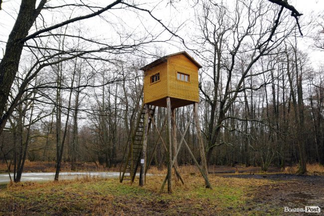 Лісівники показали, як розвивають мисливське господарство на Волині