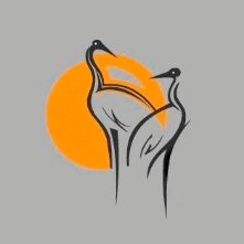 Де провести дитяче свято: пропозиції у Луцьку. ФОТО *