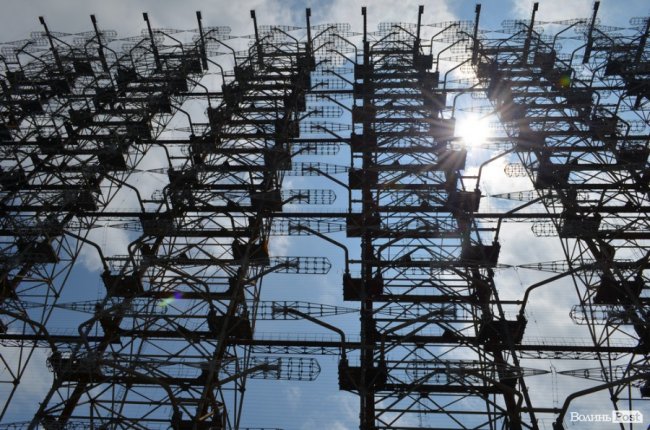 Життя на місці смерті: як зону відчуження «захоплює» ліс