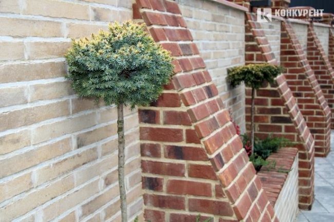 Так зараз виглядає стіна, яку збудували «для міста»