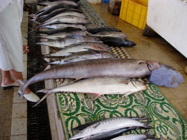 «Нотатки мандрівника» Ольги Дорошенко: Летіли в Таїланд – опинилися в Катарі