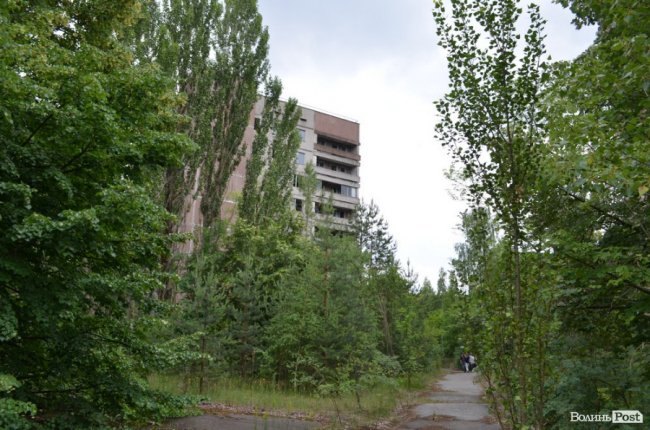 Будинки у Прип‘яті позаростали лісом