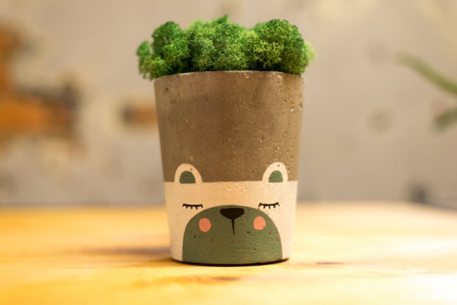 Бізнес у стилі «лофт»: майстриня з Луцька вирощує рослини в бетоні. ФОТО