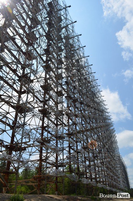 Життя на місці смерті: як зону відчуження «захоплює» ліс