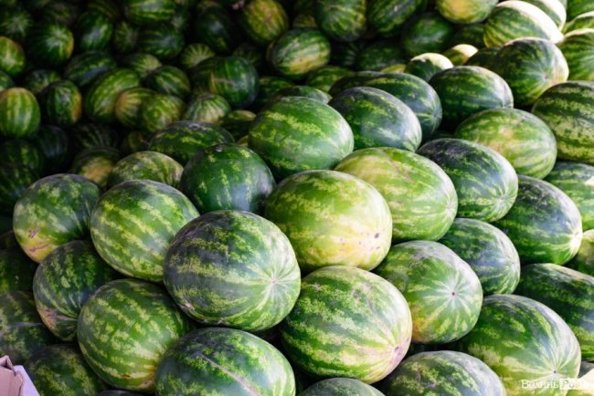 Про кавуновий бізнес і Україну: розмова з луцьким продавцем «смугастиків» із нотками азербайджанського акценту