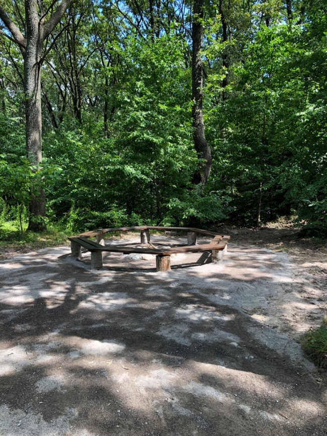 Вчені встановили три головнi умови щасливого життя* 