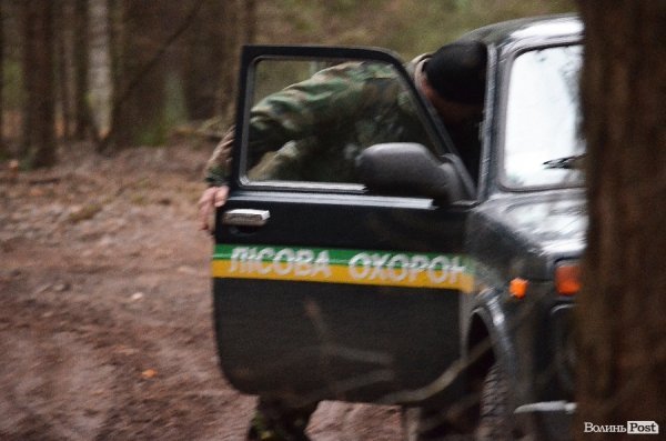 «Бурштинова мафія» на Волині: «криша», долари і селяни